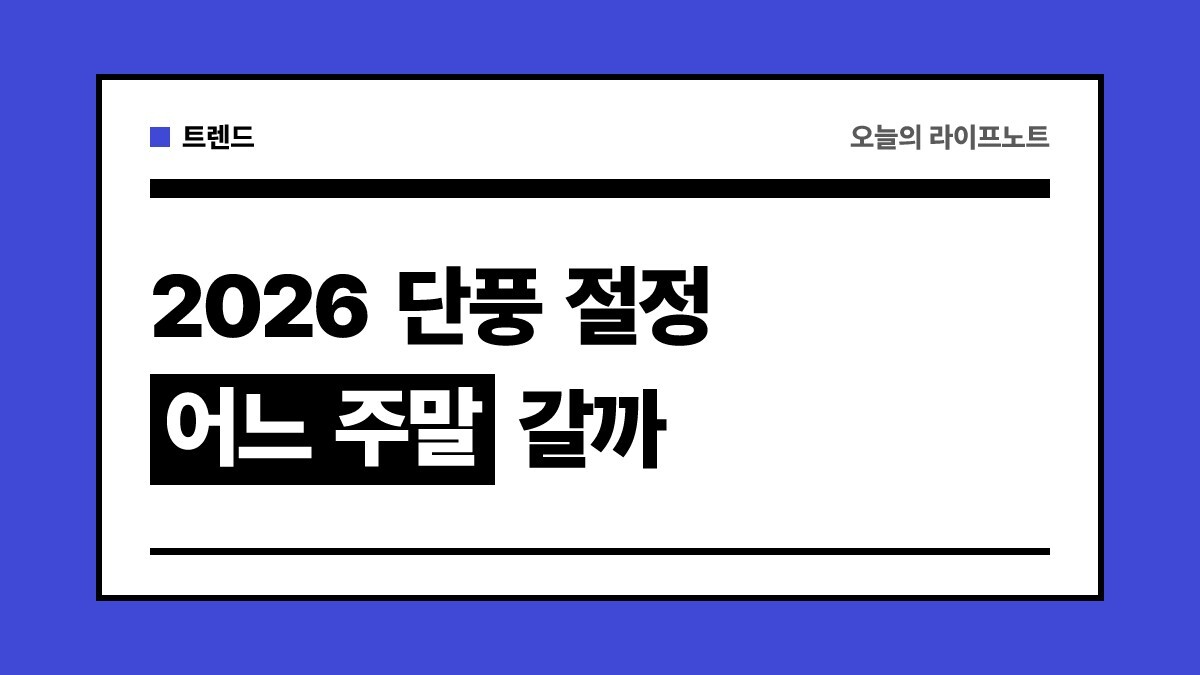 "수도권은 10월 말이 절정" 2026 단풍 절정 시기 권역별 총정리