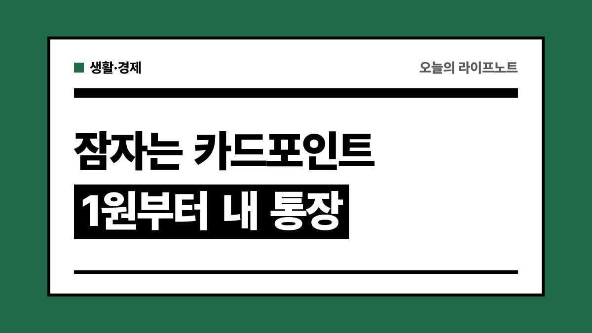 "1포인트도 현금 돼요" 카드포인트 통합조회·현금화 방법 총정리