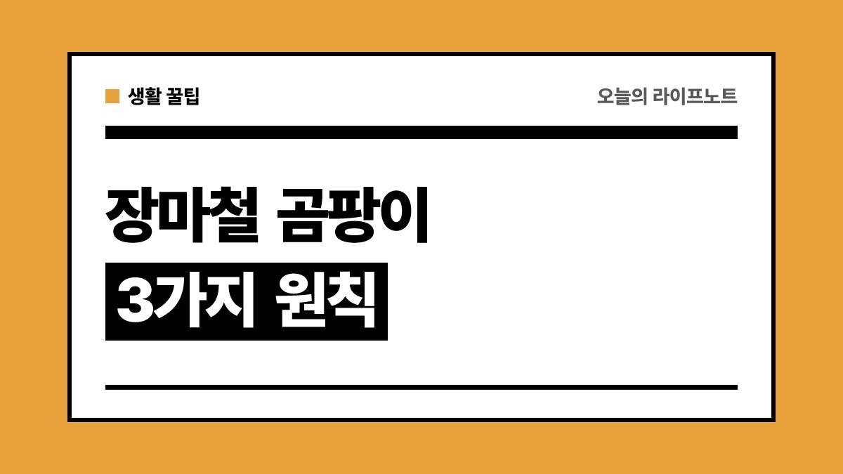 "방치하면 벽지 다 썩어요" 장마철 집안 습기·곰팡이 잡는 3가지 원칙