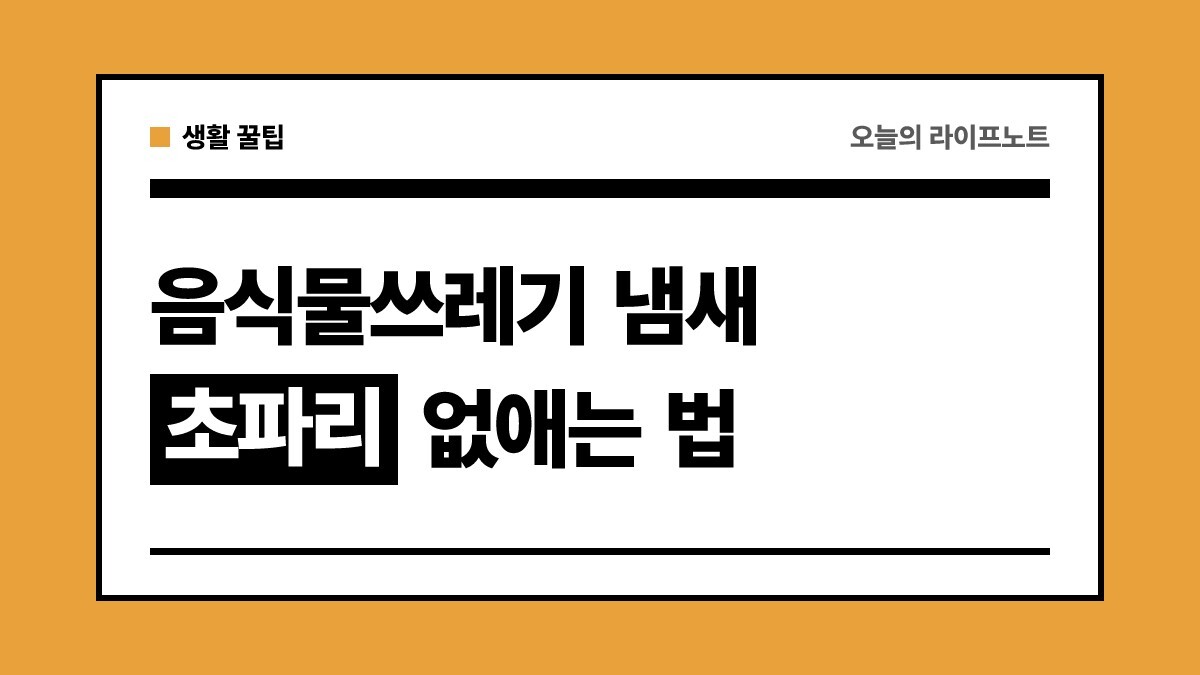 여름철 음식물쓰레기 냄새 제거 방법 | 초파리 없애는 법 및 예방 팁
